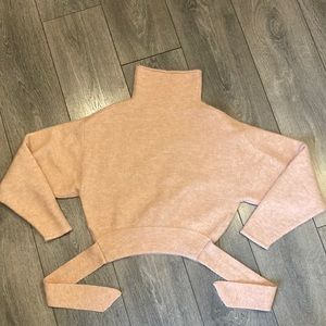Aritzia Wilfred Sweater